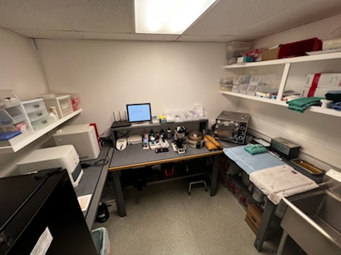 Our Lab